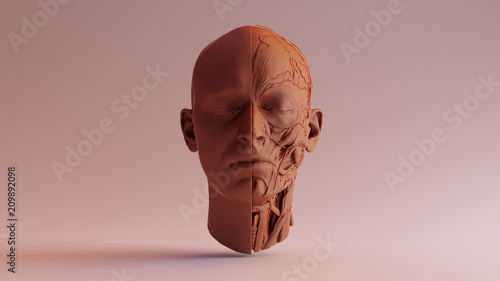 Obraz na plátně Chocolate Clay Anatomical Ecorche Human head 3d illustration