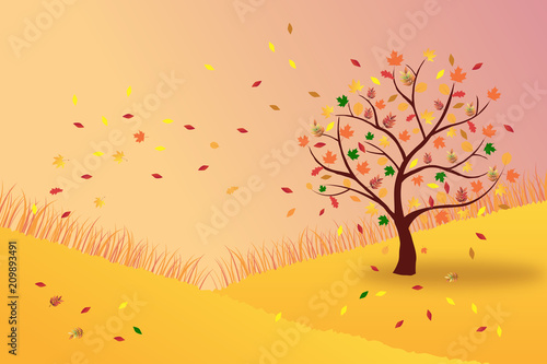 Herbst Baum auf dem Hügel