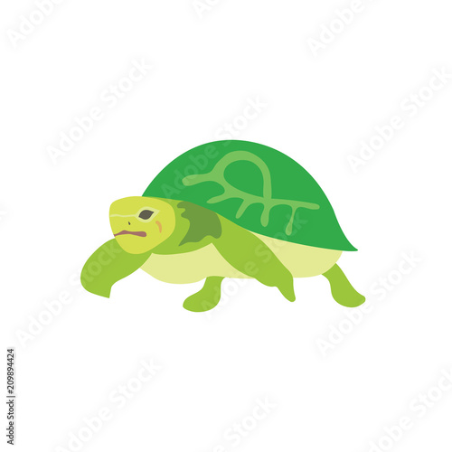 Schildkroete