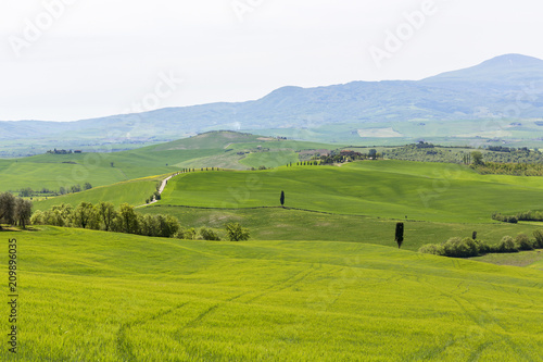 View of a hilly rural Italian landscape