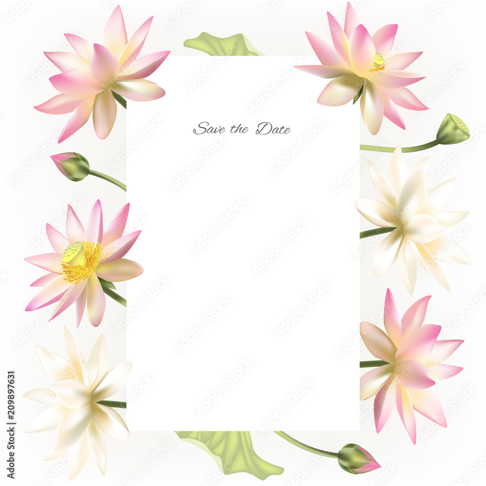 Lotus. Flowers. Floral background. Water lily. Buds. Invitation. Petals. Vector illustration. Isolated. White background. Border. Buddhism. India. Spa. Design for cosmetics.