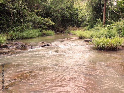 brown river in forest of Cambodia