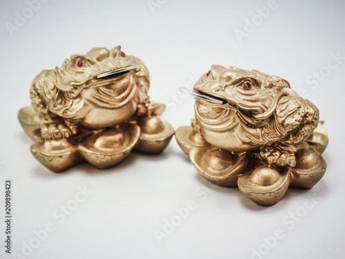 isolated a pair of Lucky Frog or Lucky Toad,Chinese Feng Shui frog,Money Frog.