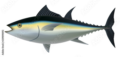 Tuna fish mockup. Realistic illustration of tuna fish vector mockup for web design isolated on white background