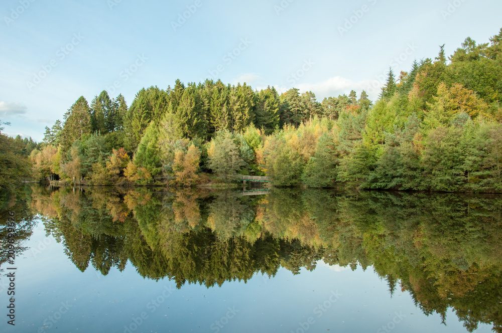Beautiful autumn leaves and trees in the forest of Dean, Gloucestershire, United Kingdom. Beautiful autumn leaves and trees in the forest of Dean, Gloucestershire, United Kingdom.