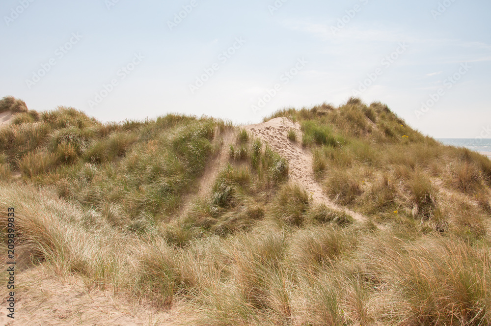 Summertime sand dunes along the coastline of Wales. Summertime sand dunes along the coastline of Wales.