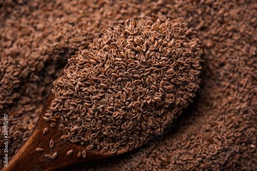 Fotografi Psyllium husk or isabgol which is fiber derived from the seeds of Plantago ovata, mainly found in India