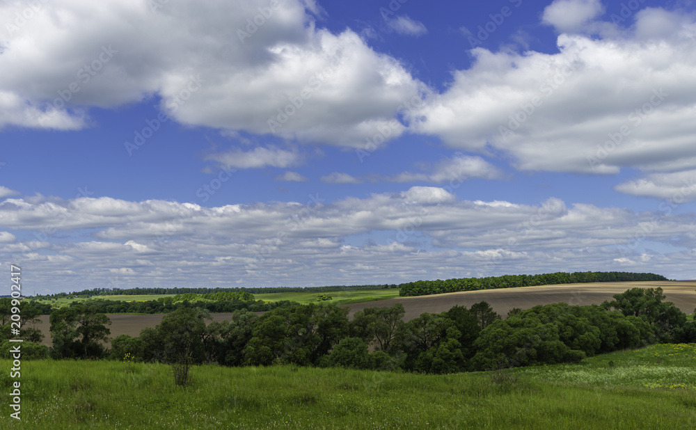 Fototapeta premium Rural summer countryside landscape