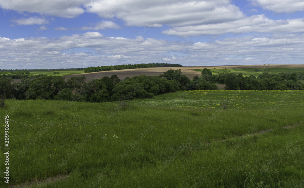 Rural summer countryside landscape Rural summer countryside landscape