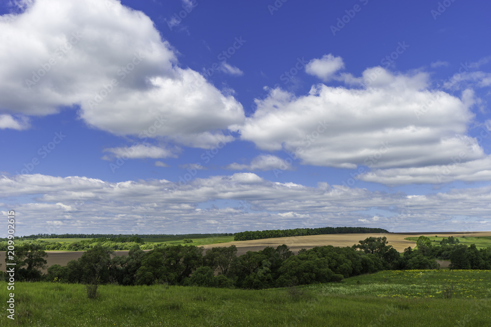 Rural summer countryside landscape