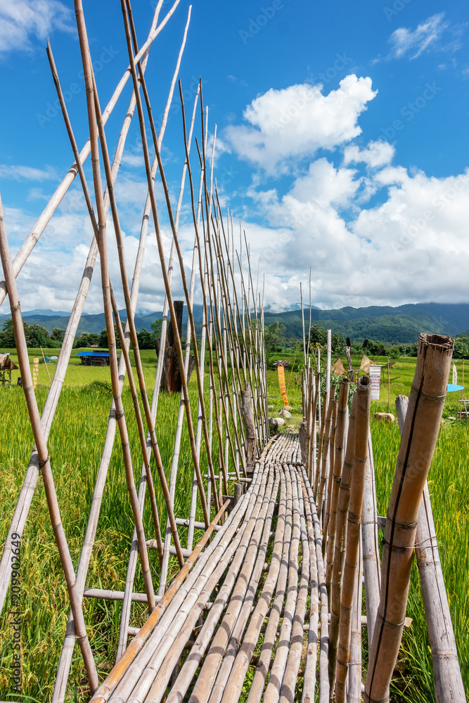Bamboo bridge crossing the rice field.