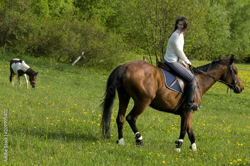 horsemanship © Arkadiusz Komski