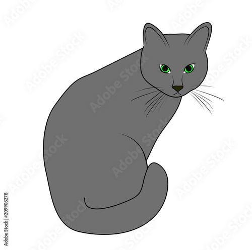 Vector illustration, isolated grey domestic cat with green eyes, outline hand painted drawing
