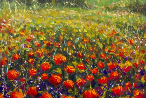 Obraz Obraz olejny maku. Letnie kwiaty czerwone pole. Sztuka współczesna - impresjonizm, faktura.