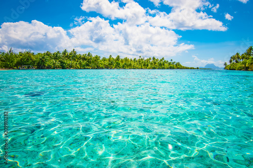 Tropical paradise seascape with palm tree island. Tahaa, French Polynesia.