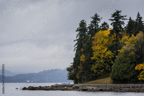 Stanley Park autumn trees