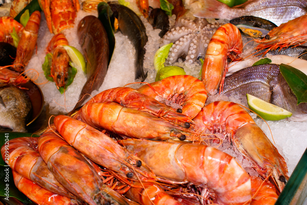 Fresh uncooked fishes with vegetables Fresh uncooked fishes with vegetables