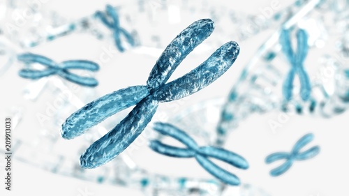 Chromosome close-up, DNA,
3D rendering
