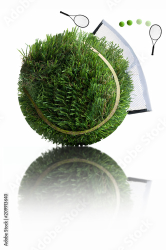 Grass tennis ball concept