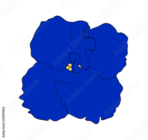 Vector illustration, isolated blue violet flower, outline hand painted drawing