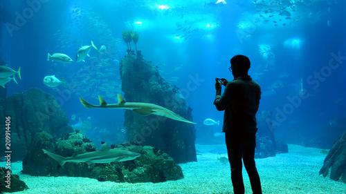 Silhouette of a man in an aquarium