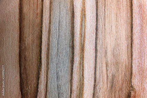 фотографія Textured Background of Dark and Light Striped Ambrosia Maple Wood