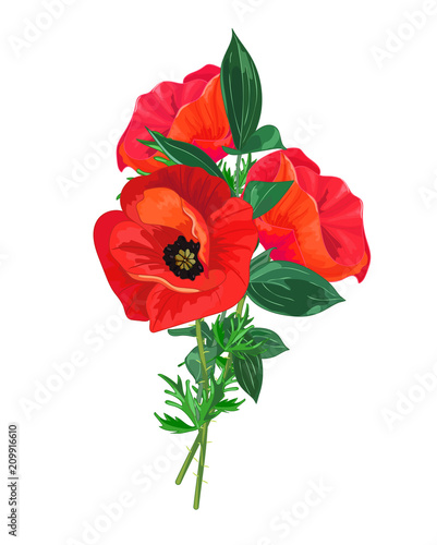 Fototapeta Naklejka Na Ścianę i Meble -  Greeting card with Red poppies