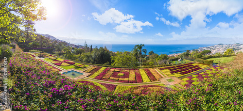 Tropical Botanical Gardens in Funchal, Madeira island, Portugal.