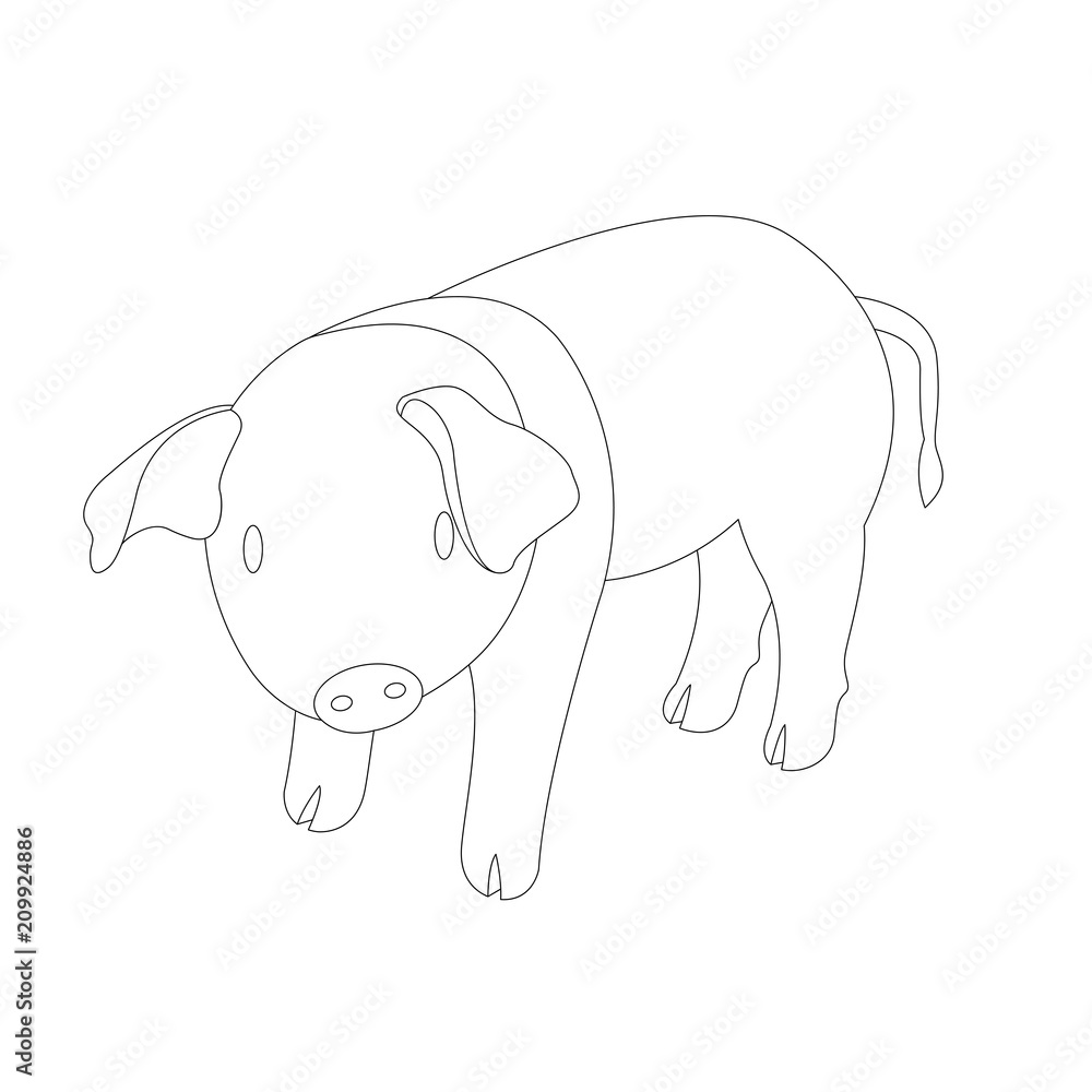 pig coloring vector illustration line drawing profile 