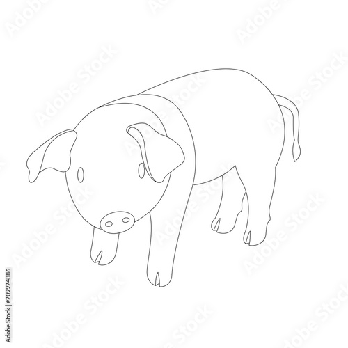 pig coloring vector illustration line drawing profile 