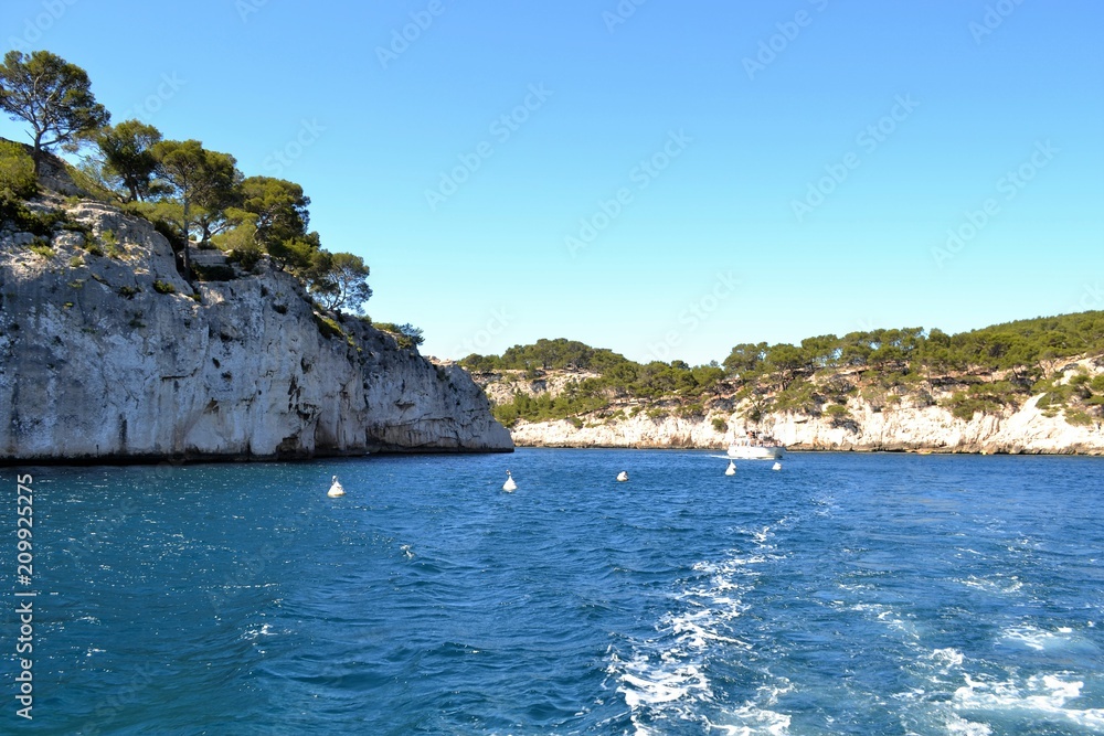 Cassis Cassis