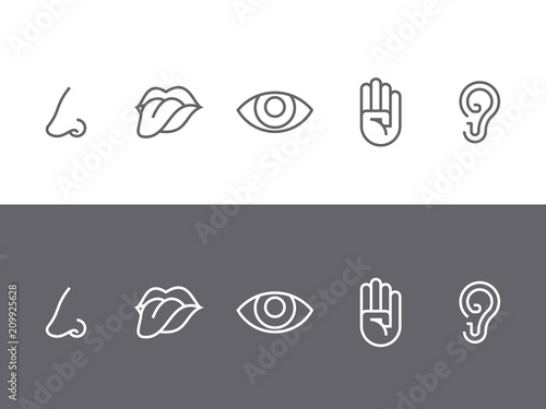 Set of symbols of the five senses