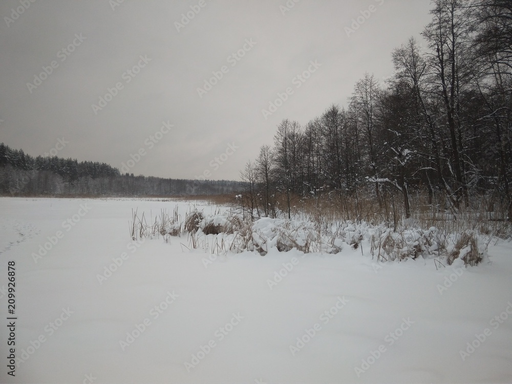 Winter Lake Winter Lake