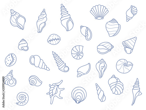 Obraz na plátně Sea shells painted in blue