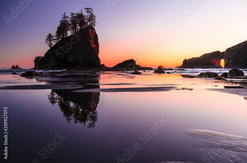 Φωτογραφία Wild Pacific Coast