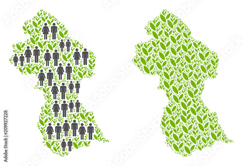 People population and floral Guyana map. Vector pattern of Guyana map created of randomized men and woman and grass items in variable sizes. Abstract social plan of national audience cartography.