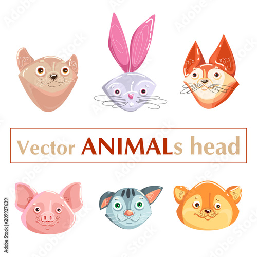 Educational flashcard animals heads