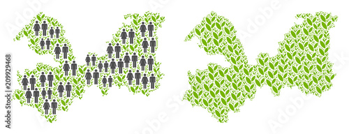 People population and green plants Leningrad Oblast map. Vector composition of Leningrad Oblast map organized of scattered people and flora elements in different sizes.