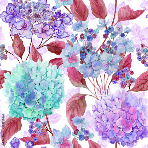 Beautiful hydrangea flowers in pink, lilac, purple tints on white background....