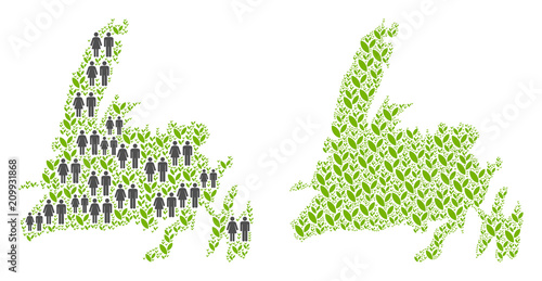 People population and eco Newfoundland Island map. Vector pattern of Newfoundland Island map combined of randomized lady and gentleman and sprout elements in various sizes.