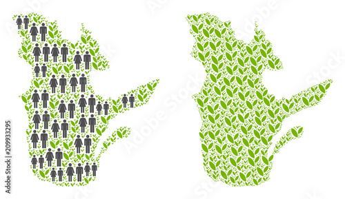 People population and eco Quebec Province map. Vector mosaic of Quebec Province map organized of randomized male and female and sprout elements in various sizes.