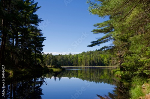 View from trail of Algonquin Park Ontario