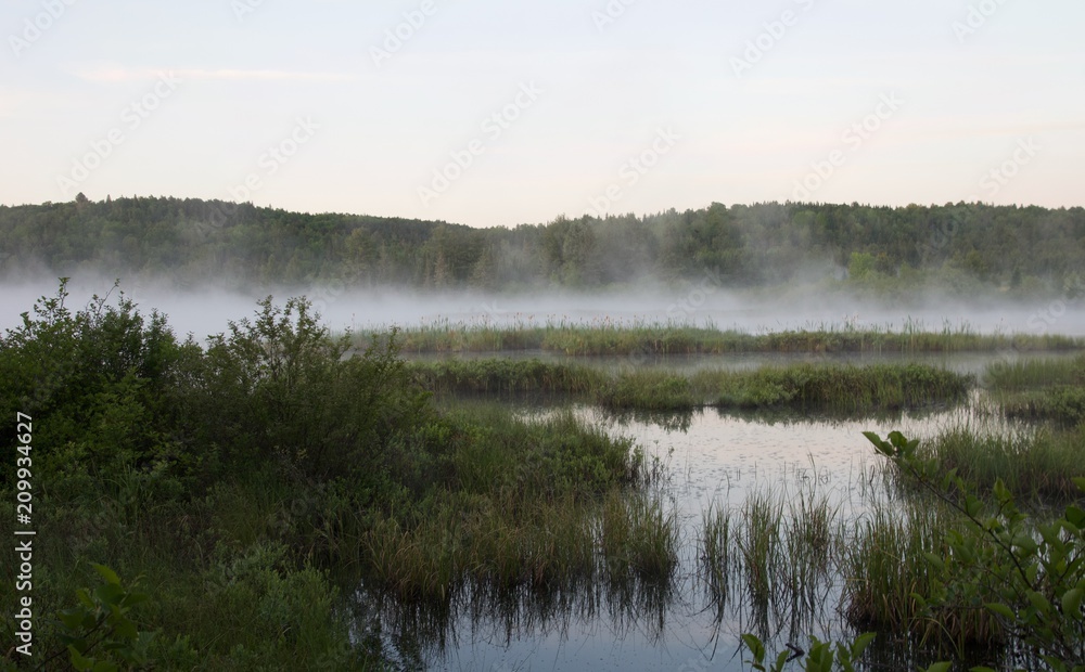 Fototapeta premium Morning fog at Algonquin Provincial Park, Ontario