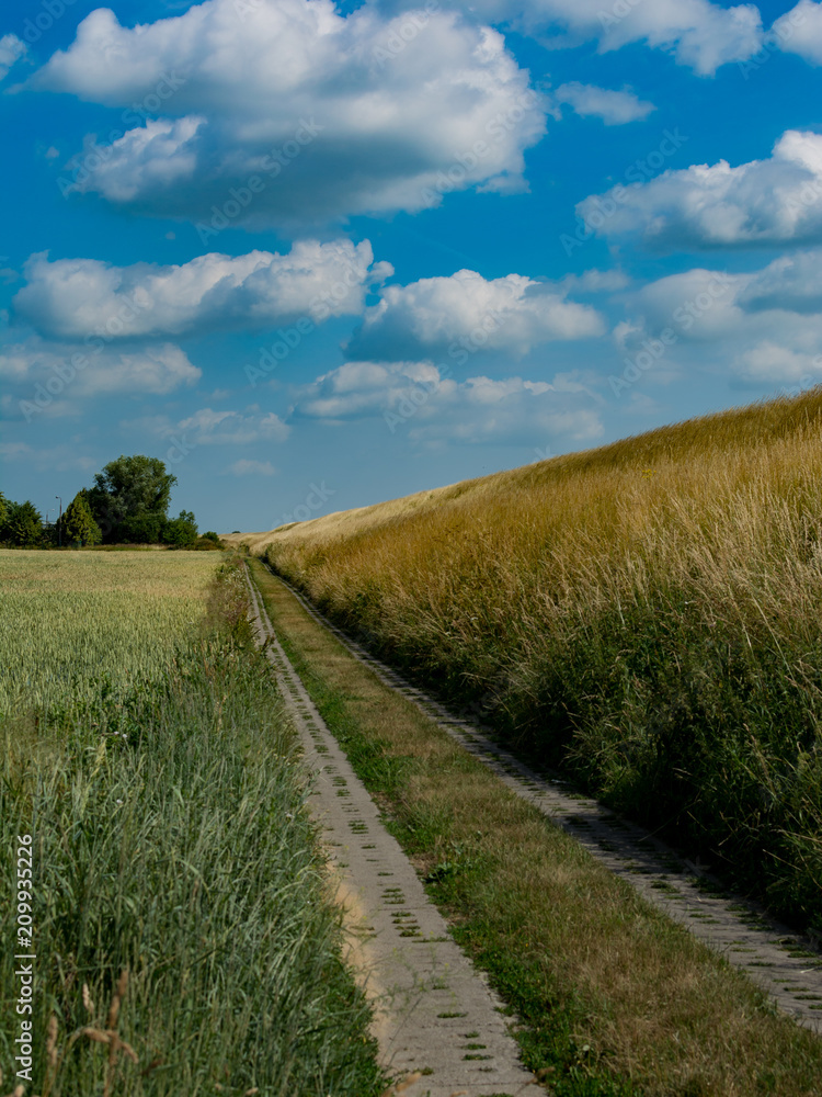 Obraz premium Wilage Road