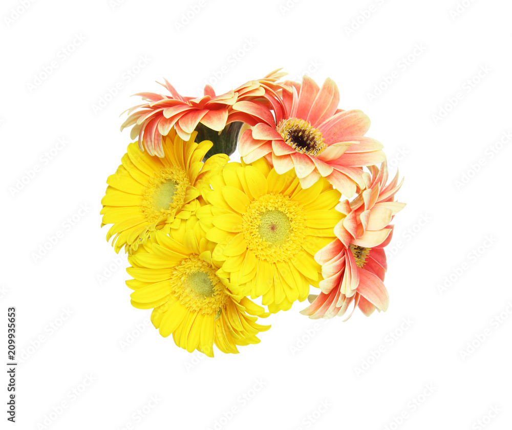 ガーベラの花束 Stock Photo Adobe Stock ガーベラの花束 Stock Photo Adobe Stock