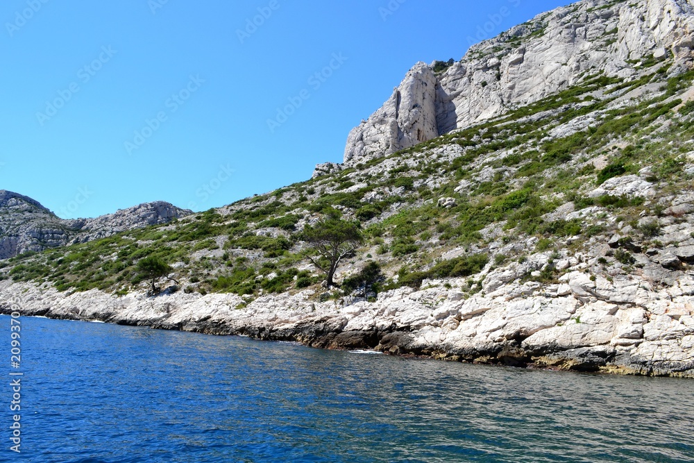 Cassis Cassis