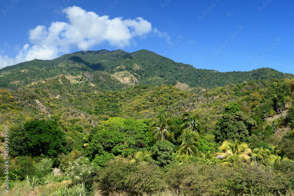 Trail for the highest peak of Cuba -  Pico Turquino in the mountains Sierra Maestra