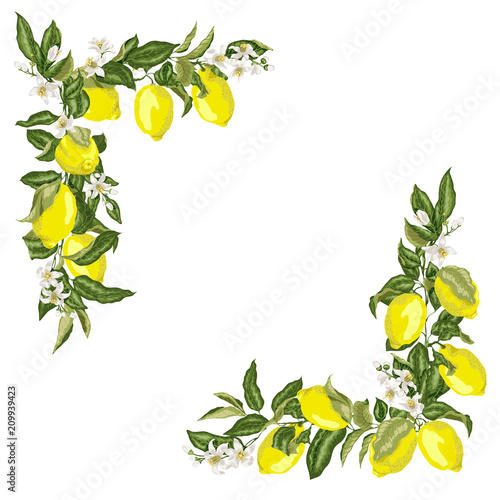 Set of corner square frame template with citrus lemon flower and fruits
