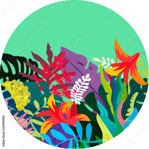 Tropical background round