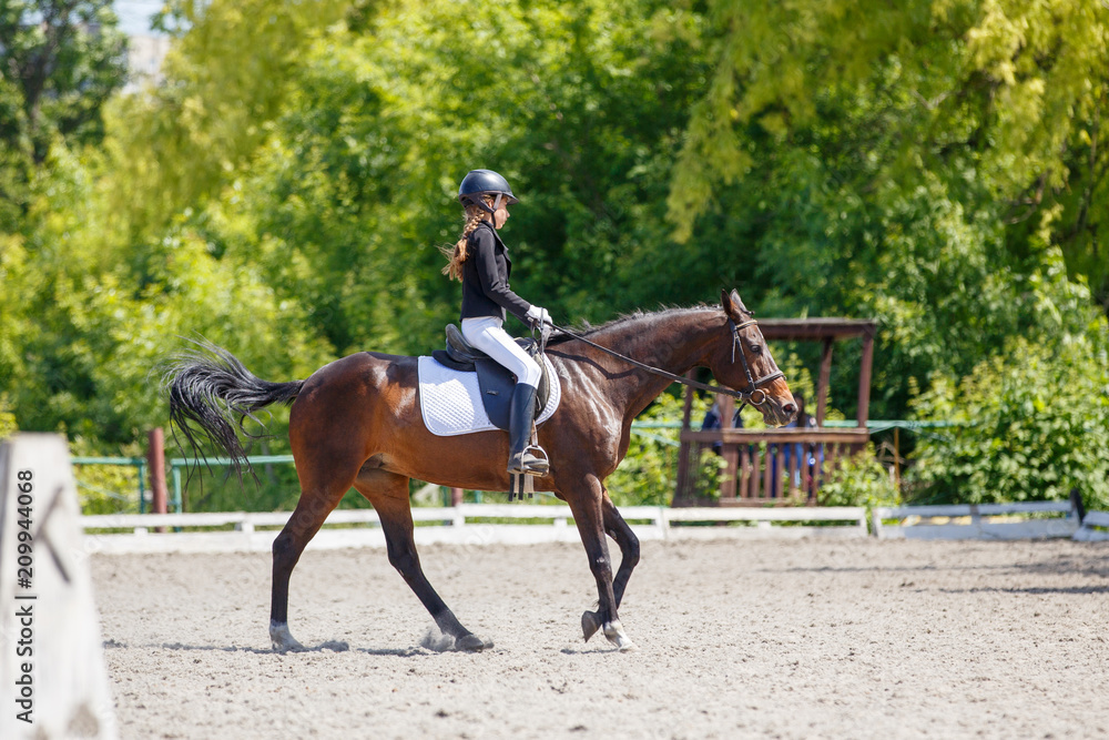 Young girl riding horse on equestrian competition. Equestrian dressage sport background with copy space Young girl riding horse on equestrian competition. Equestrian dressage sport background with copy space